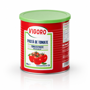 Vigoro Pasta de Tomate 800 g